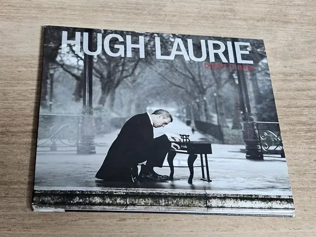 Hugh Laurie - Didn't Rain (수입CD)