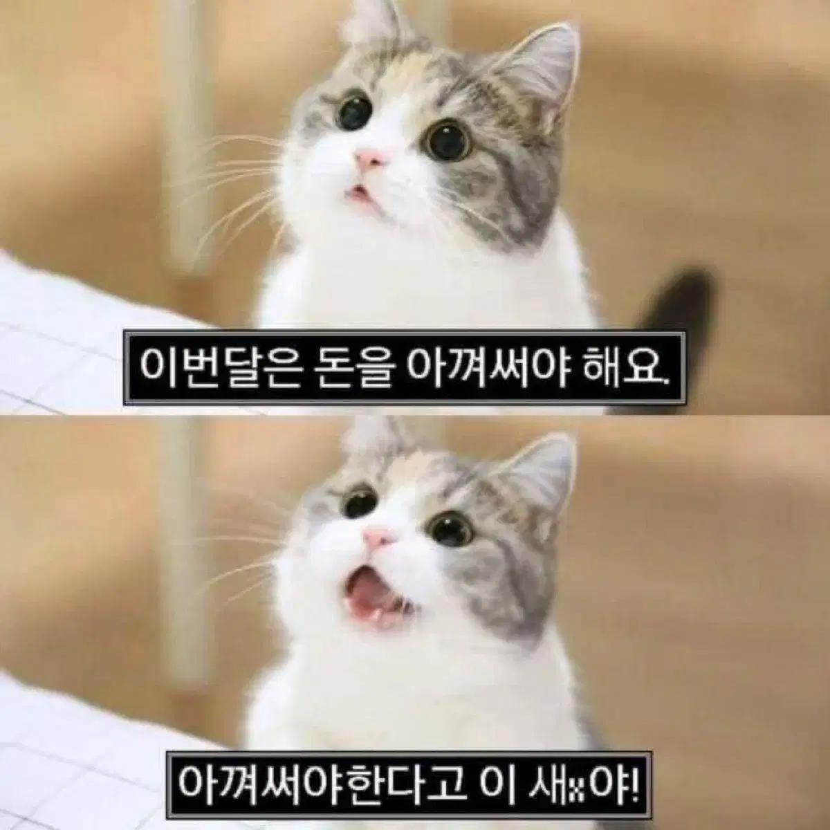 레전드매치 선예매코드