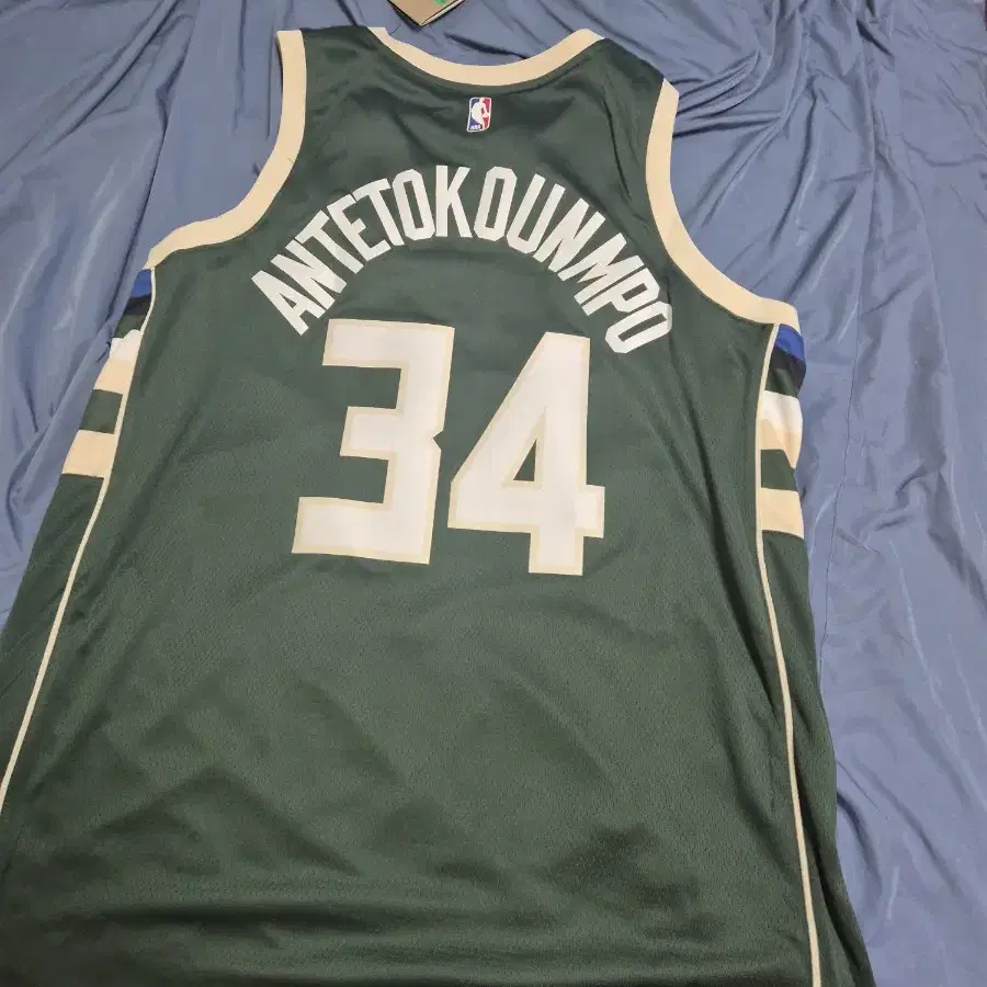 Nike Giannis Antetokounmpo Milwaukee Buc