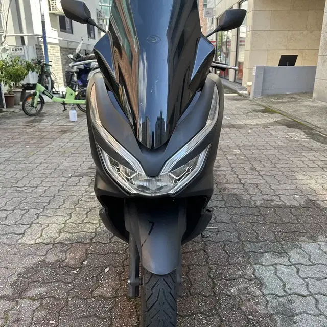 혼다 Pcx 125cc 19년식 급처합니다