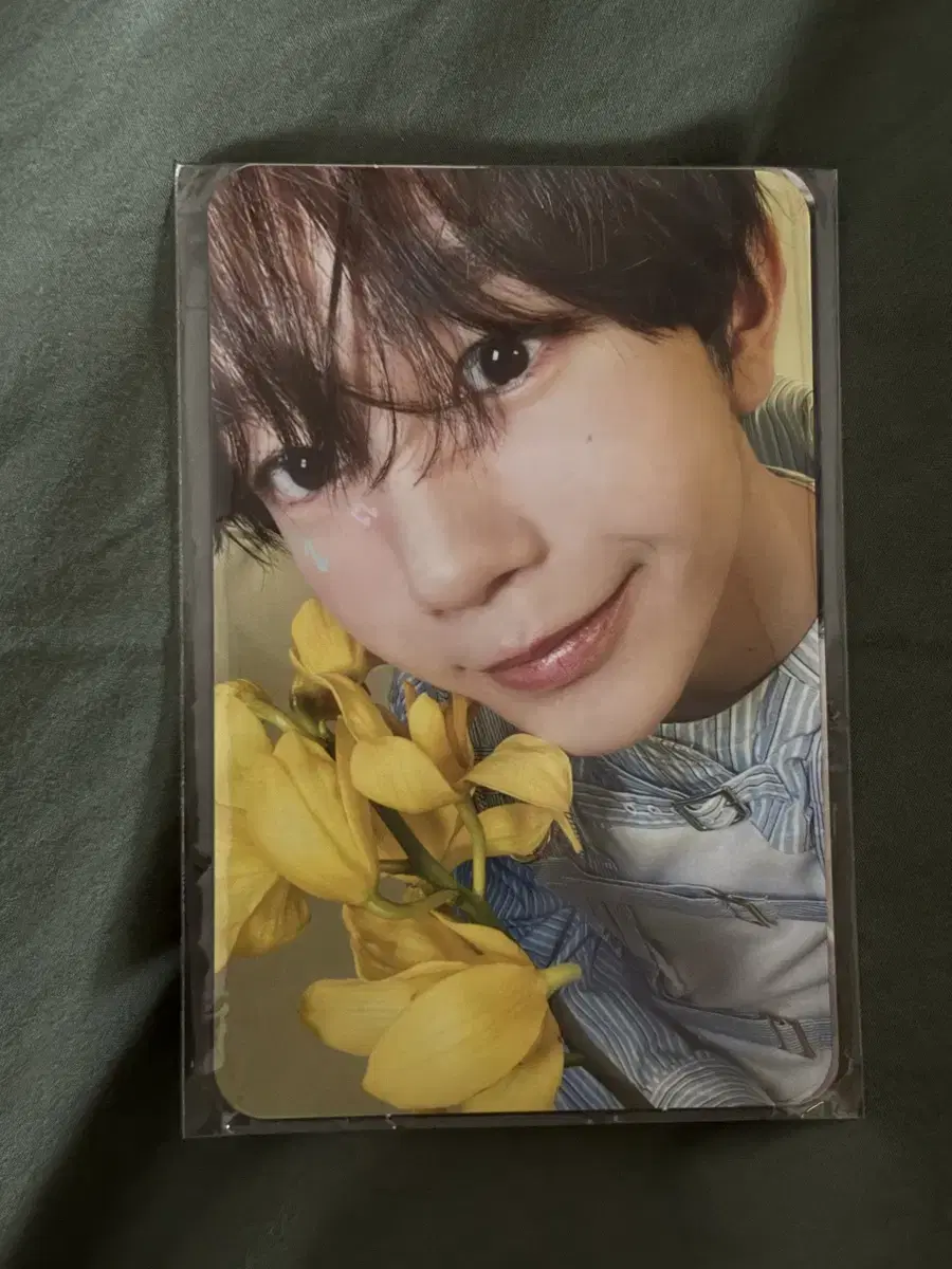 Songbird Japan Vahn Ryo Photocard