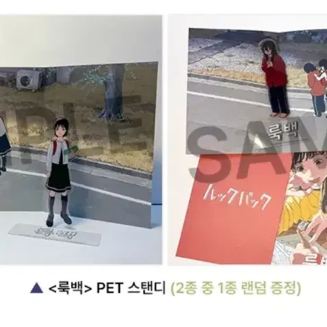 룩백 4주차 주말 pet 스탠디