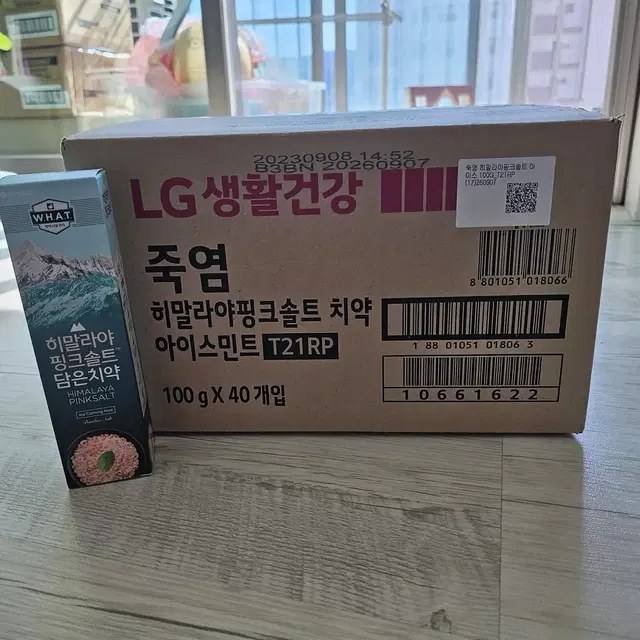 LG 생활건강 히말라야 핑크솔트 치약 100g BOX