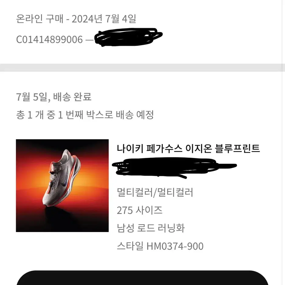 나이키 페가수스 이지온 블루프린트 275