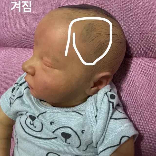 애리민작가님 신생아 리본돌분양