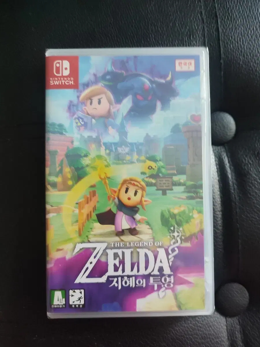 Nintendo Switch Game The Legend of Zelda: A Link Between Worlds Projected Wisdom Unsealed