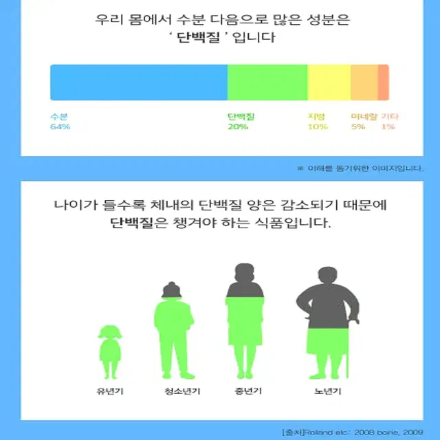 대현헬스케어 산양유 단백질 아침 식사대용 프로틴 쉐이크 300g