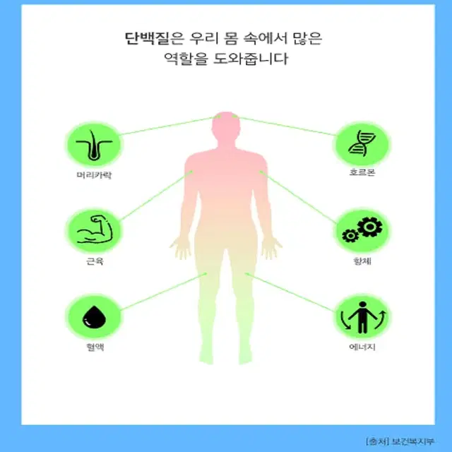 대현헬스케어 산양유 단백질 아침 식사대용 프로틴 쉐이크 300g