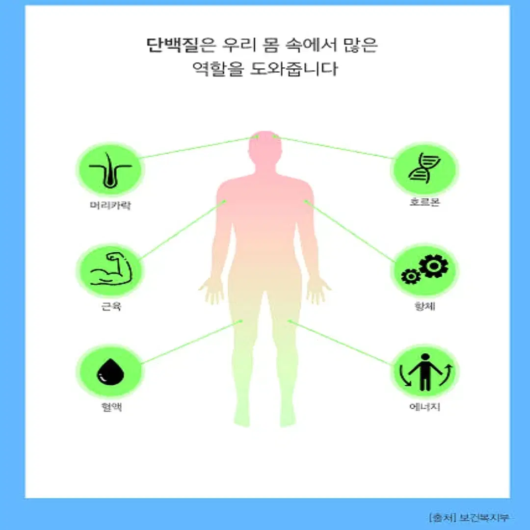 대현헬스케어 산양유 단백질 아침 식사대용 프로틴 쉐이크 300g