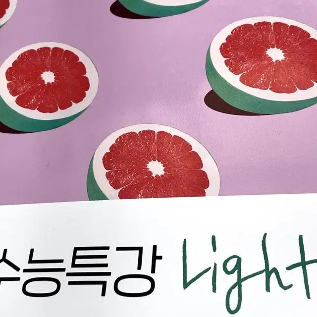 수능특강 Light 영어독해연습