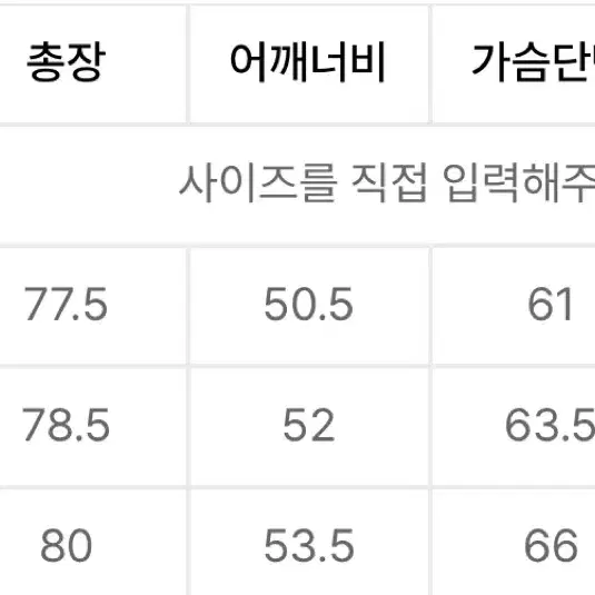 인스펙터 107 셔츠 라이트그린 100