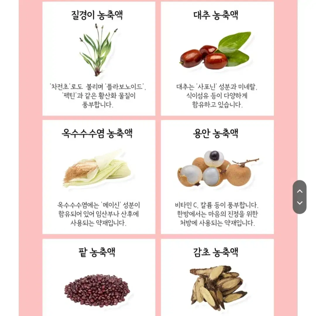 파격할인! 하루비움 붓기감소차 에버봄 바이바이팅팅