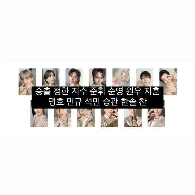 세븐틴 고양콘 엠디 후드집업 포카 분철