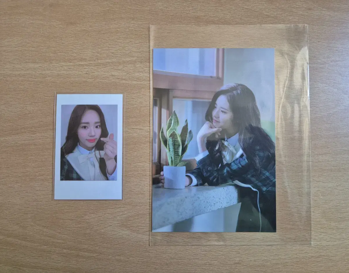 Fromis 9 park jiwon Photo Card