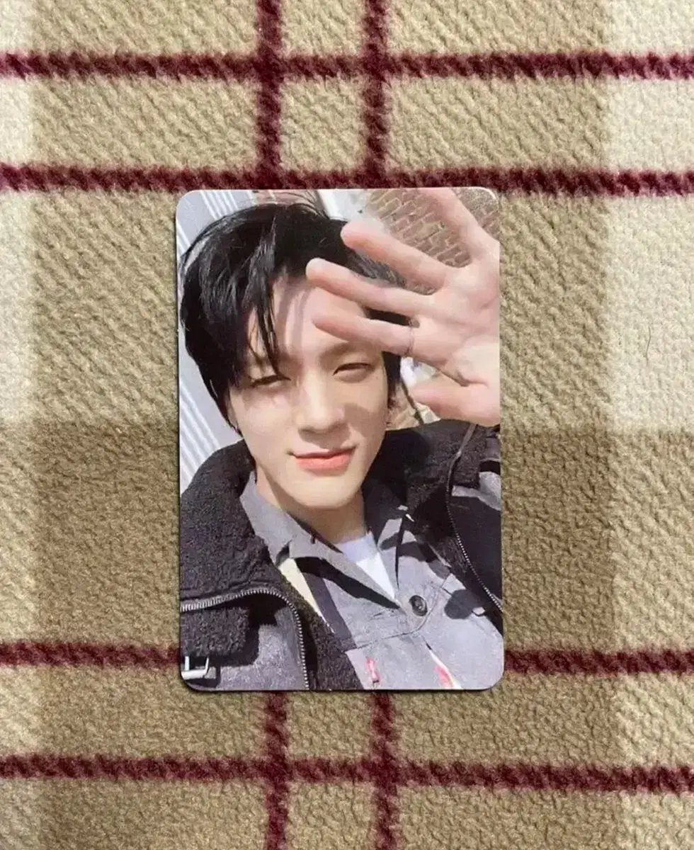 AnCityDream Flavor Jeno Photocard wts