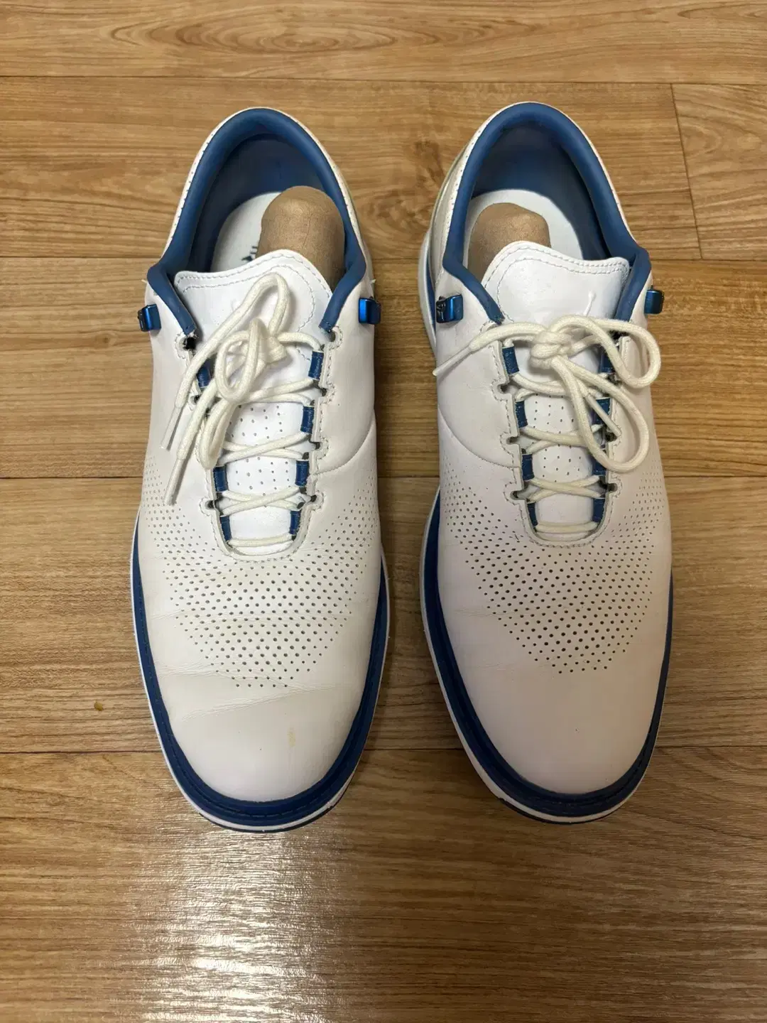 Jordan Golf Shoes DM0103-100