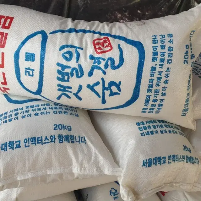 평창 암탁절임배추 10kg