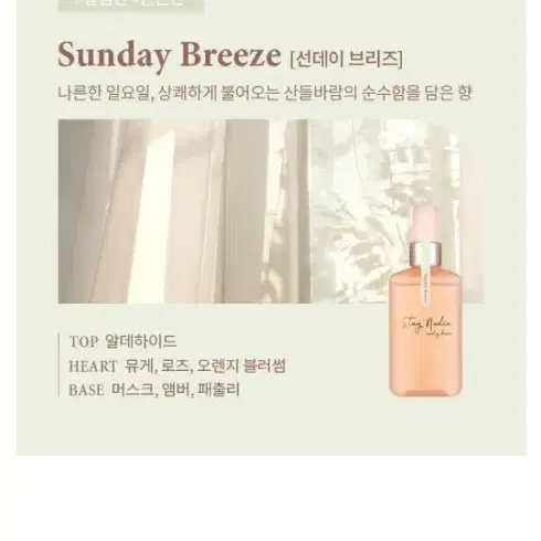 바디홀릭 헤어&바디미스트 선데이브리즈(100ml)