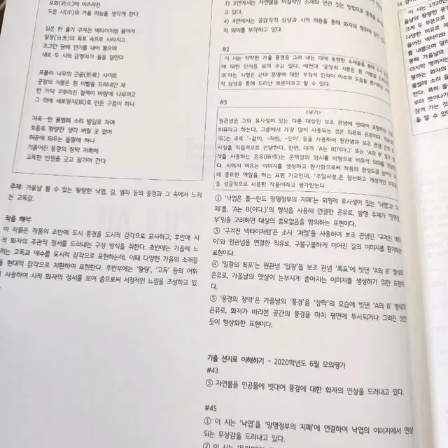 수완, 수특 내용 정리