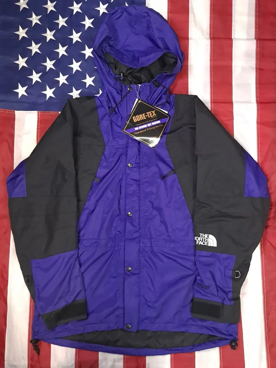 Thrifted 90's The North Face Gore-Tex Mountain Jacket