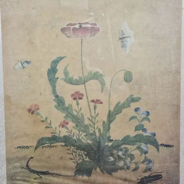 신사임당 초충도 영인본  67x76cm