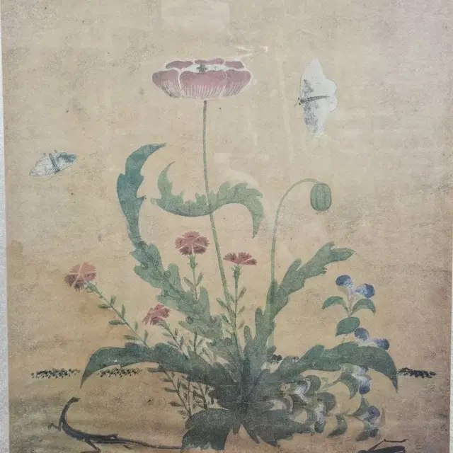 신사임당 초충도 영인본  67x76cm