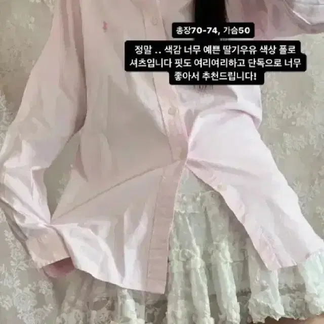 폴로 핑크 셔츠