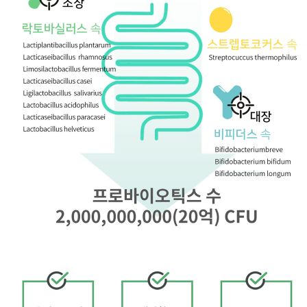 웰러스 혈당조절엔 코로솔산 유산균 400mg x 60캡슐 x3BOX