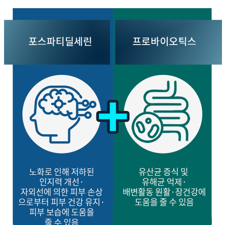 보령 인지력게어 PS유산균 2g x 30포