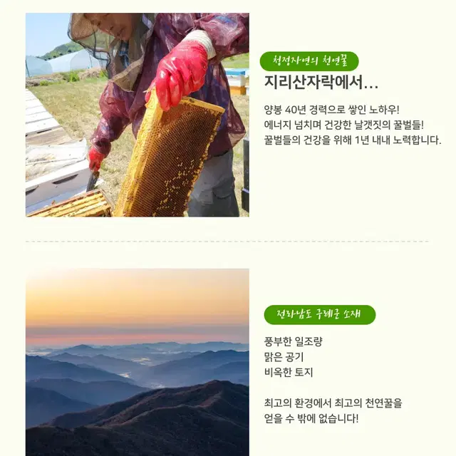 산지직송 야생화꿀 천연꿀