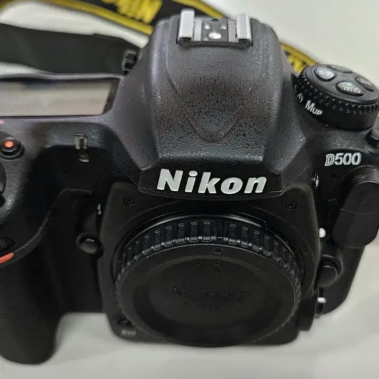 니콘 NIKON D500 3만컷 정품 A급 크롭DSLR