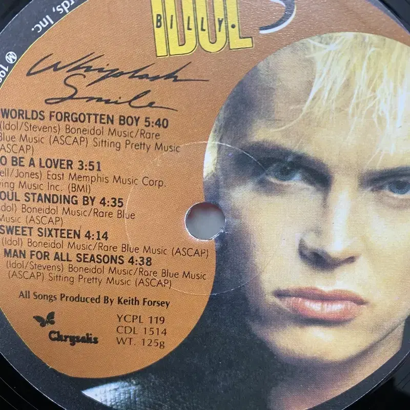 BILLY IDOL LP / C1202