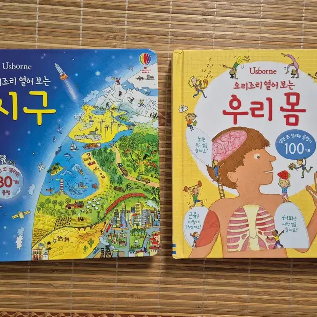 Usborne 어스본 요리조리 열어보는 지구. 우리몸 플랩북 총2권