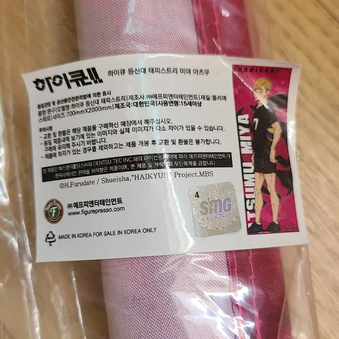 하이큐 아츠무 전신 태피스트리