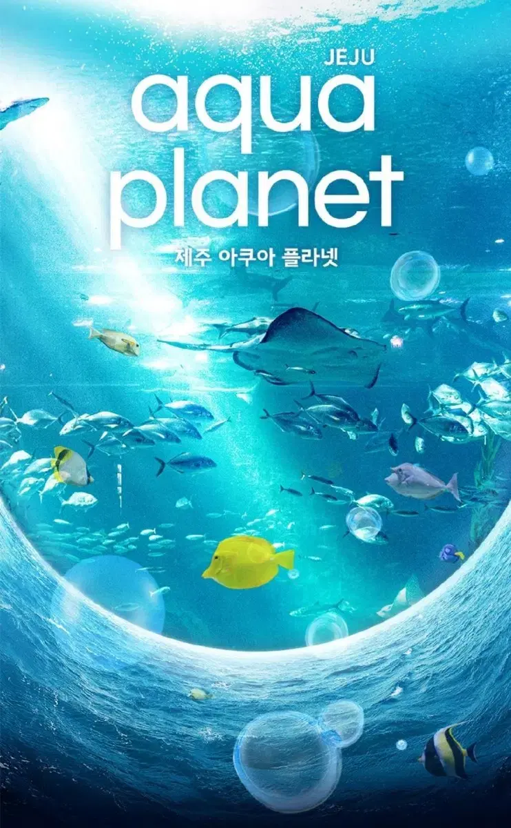 제주 아쿠아플라넷 종합권