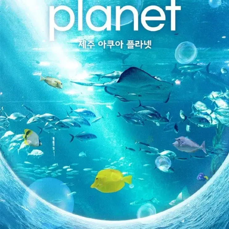 제주 아쿠아플라넷 종합권