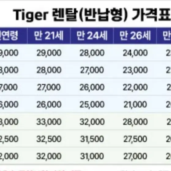 광주 전기오토바이 타이거