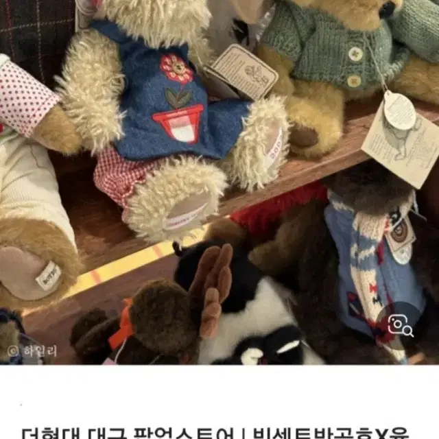 보이즈 베어 한정판