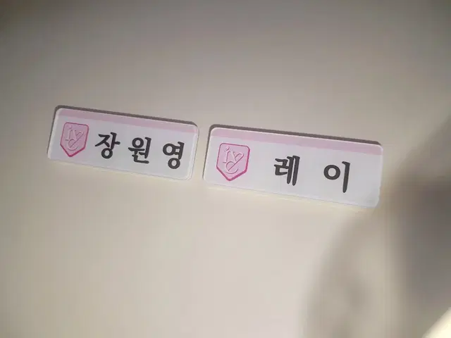 [아이브 명찰] 최저가, 할인중!! 유진 가을 레이 원영 리즈 이서 명찰