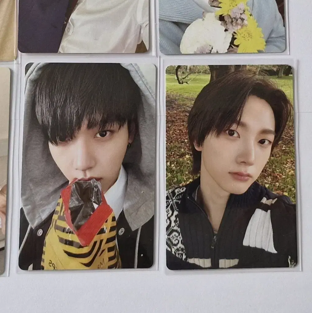 boynextdoor sungho myung jaehyun how how alpo photocard wts alwynfa