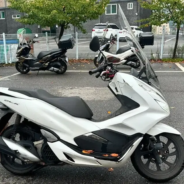 19년식  pcx125