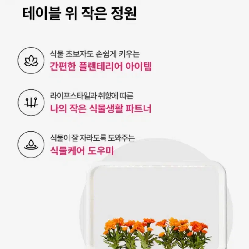 엘지 LG 식물 재배기 L012E1  틔운 미니 식물재배기 L012E1