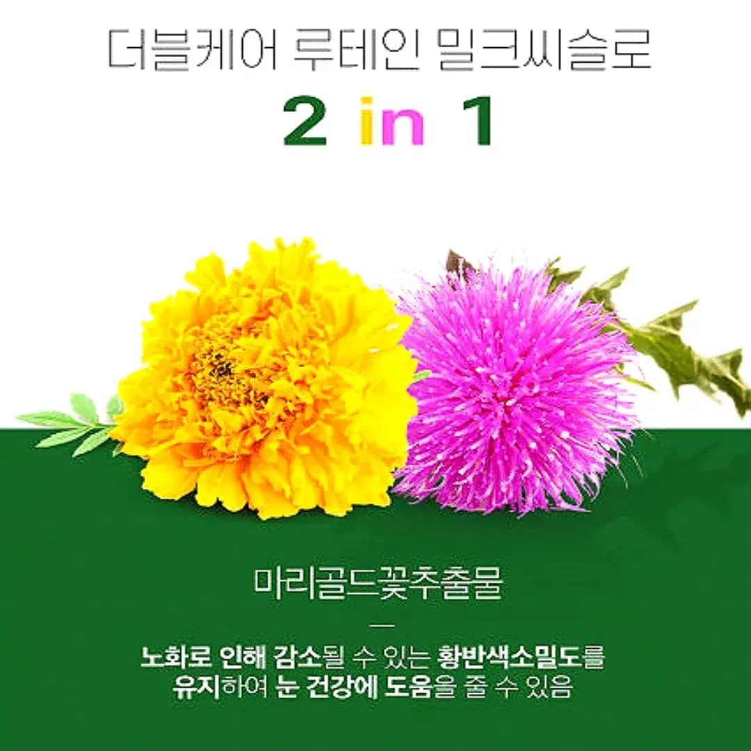 로니웰 더블케어 루테인 밀크시슬 1,000mg x 30캡슐 무료배송