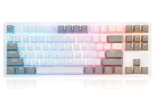 콕스 엔데버 텐키리스 RGB PBT (화이트35G 50G)