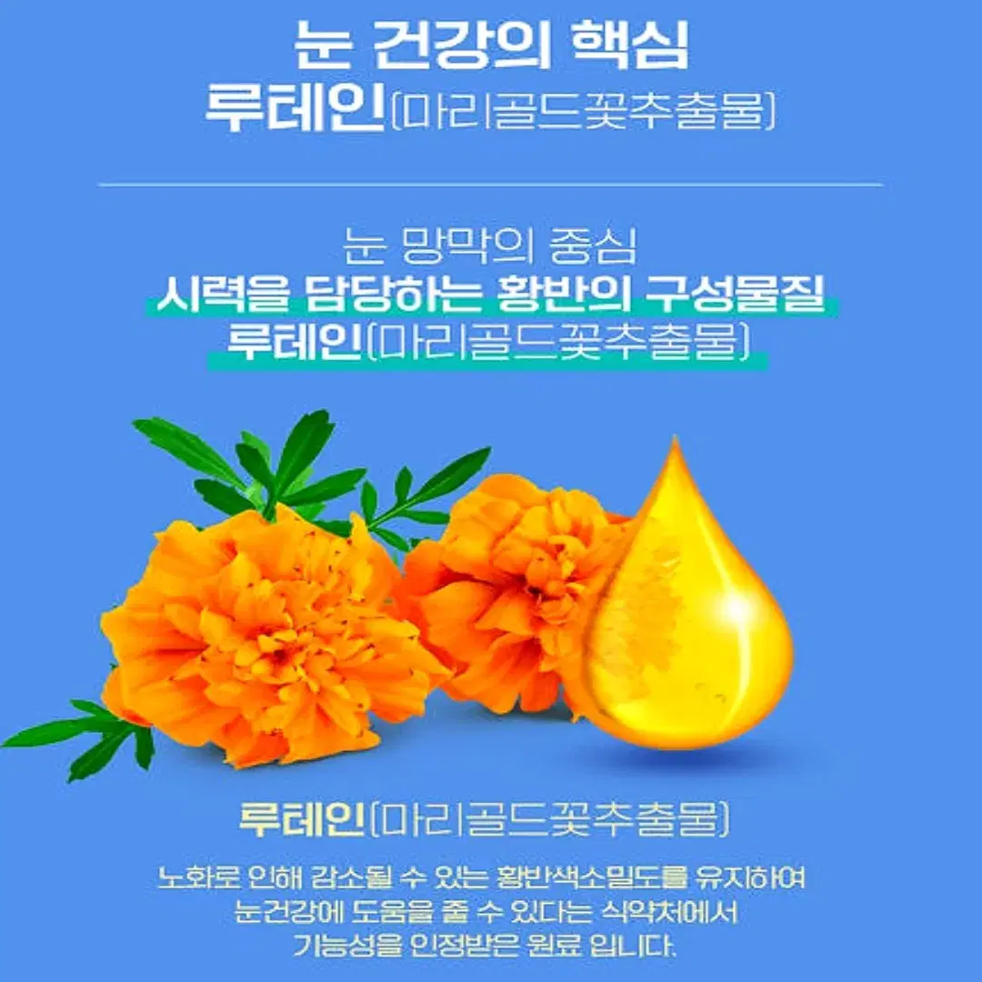 닥터이셀 눈건강 루테인 아스타잔틴 비타민A C E 500mg 30캡슐