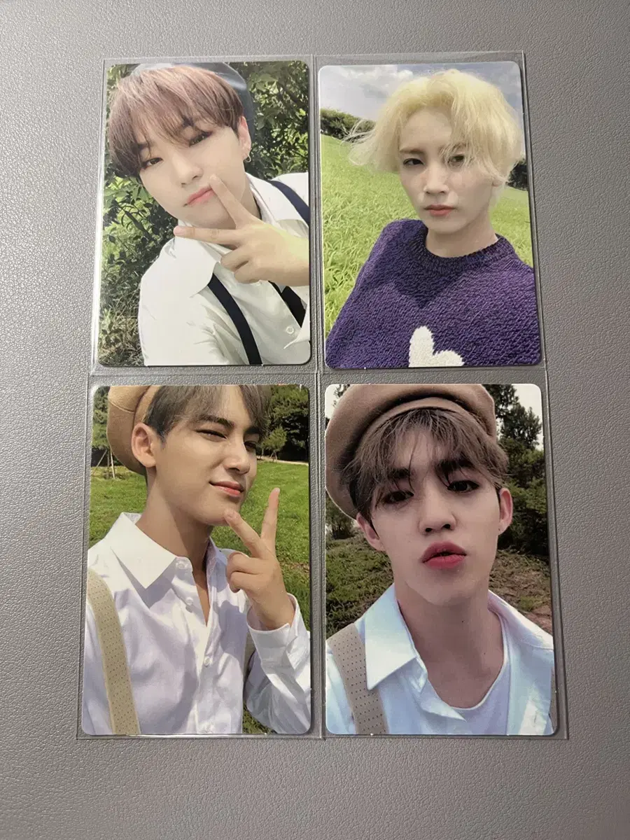 Seventeen Dog photocard bulk WTS! jeonghan hoshi mingyu s.coups Beret