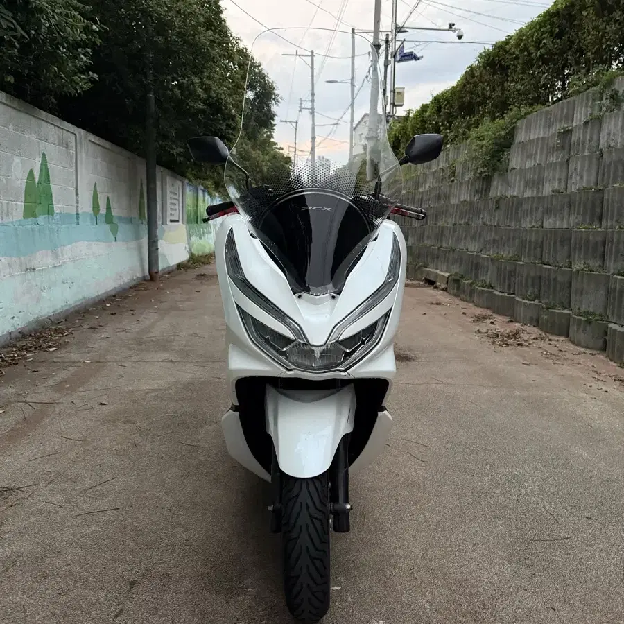 혼다 더뉴pcx125