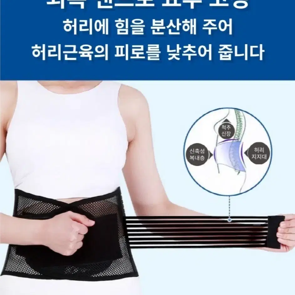 짱짱한 허리보호대 척추보호대 초특가