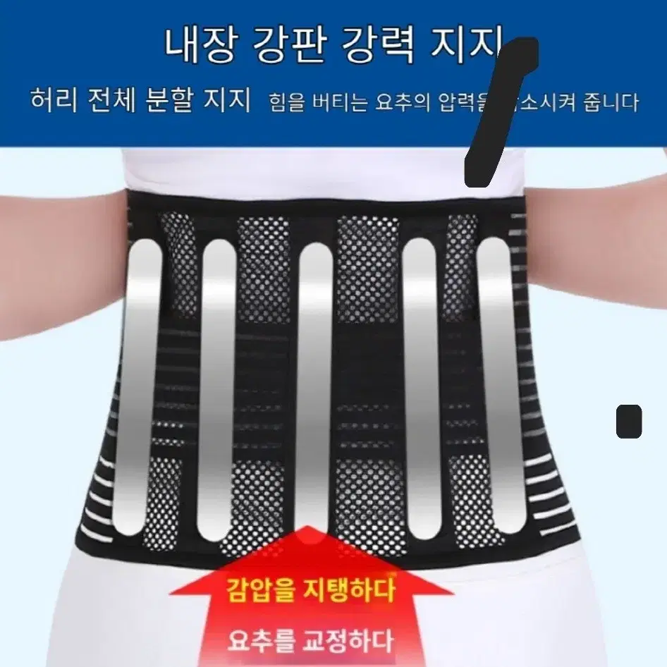 짱짱한 허리보호대 척추보호대 초특가