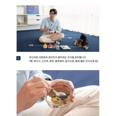 애견 닥터설 플레이 멀티볼 노즈워크 칫솔 분리불안쟝난감